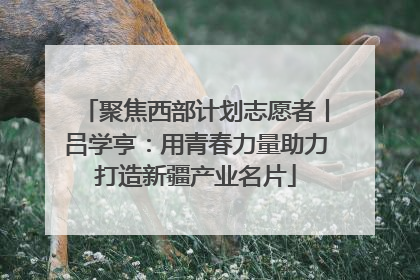 聚焦西部计划志愿者丨吕学亨：用青春力量助力打造新疆产业名片
