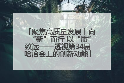 聚焦高质量发展丨向“新”而行 以“质”致远——透视第34届哈洽会上的创新动能