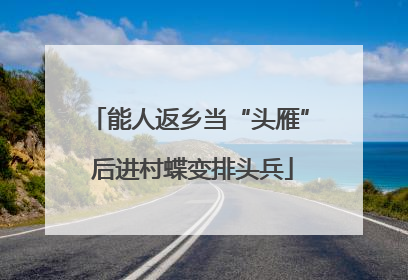 能人返乡当“头雁” 后进村蝶变排头兵
