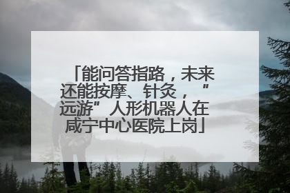 能问答指路，未来还能按摩、针灸，“远游”人形机器人在咸宁中心医院上岗