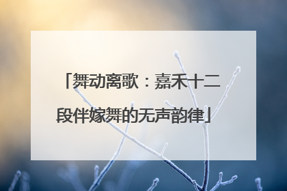 舞动离歌：嘉禾十二段伴嫁舞的无声韵律