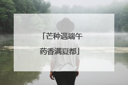 芒种遇端午 药香满夏都