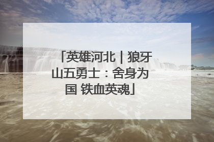 英雄河北｜狼牙山五勇士：舍身为国 铁血英魂