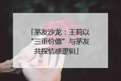 茅友沙龙：王莉以“三重价值”与茅友共探情感逻辑