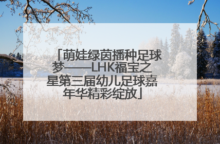 萌娃绿茵播种足球梦——LHK福宝之星第三届幼儿足球嘉年华精彩绽放