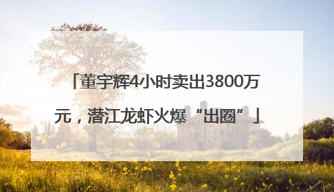 董宇辉4小时卖出3800万元，潜江龙虾火爆“出圈”