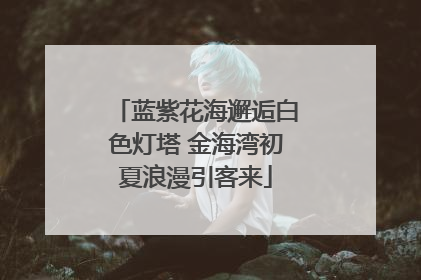 蓝紫花海邂逅白色灯塔 金海湾初夏浪漫引客来