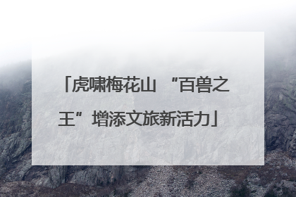虎啸梅花山 “百兽之王”增添文旅新活力