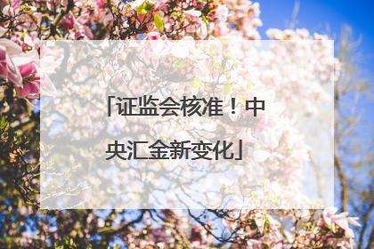 证监会核准！中央汇金新变化