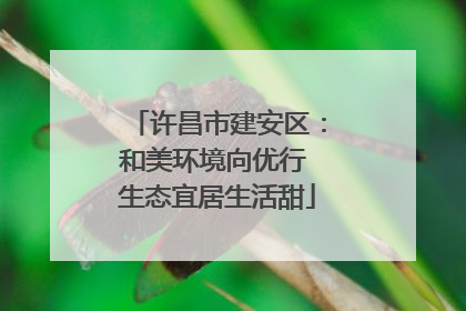 许昌市建安区：和美环境向优行 生态宜居生活甜