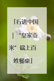 行进中国｜“皇家贡米”端上百姓餐桌