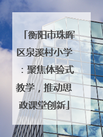 衡阳市珠晖区泉溪村小学：聚焦体验式教学，推动思政课堂创新