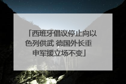 西班牙倡议停止向以色列供武 德国外长重申军援立场不变