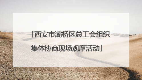 西安市灞桥区总工会组织集体协商现场观摩活动