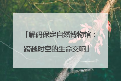 解码保定自然博物馆：跨越时空的生命交响