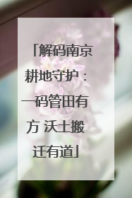 解码南京耕地守护：一码管田有方 沃土搬迁有道