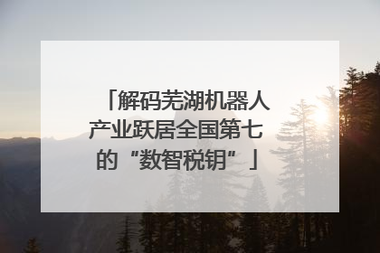 解码芜湖机器人产业跃居全国第七的“数智税钥”