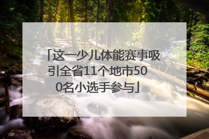 这一少儿体能赛事吸引全省11个地市500名小选手参与