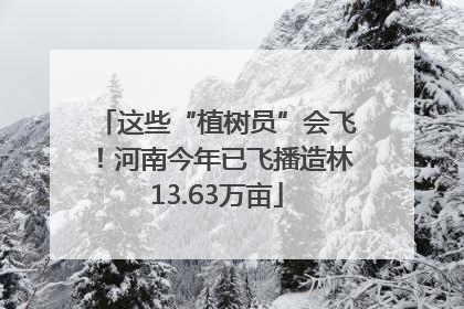 这些“植树员”会飞！河南今年已飞播造林13.63万亩