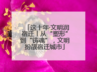 这十年·文明润宿迁丨从“塑形”到“铸魂”，文明扮靓宿迁城市