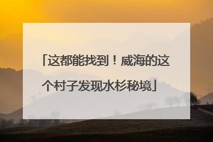 这都能找到！威海的这个村子发现水杉秘境
