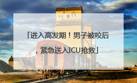 进入高发期！男子被咬后，紧急送入ICU抢救