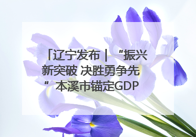辽宁发布｜“振兴新突破 决胜勇争先”本溪市锚定GDP增长6%目标推进十项重点工作