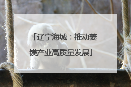 辽宁海城：推动菱镁产业高质量发展