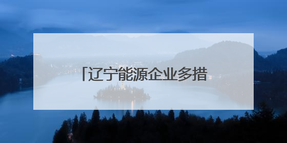 辽宁能源企业多措并举备战迎峰度夏