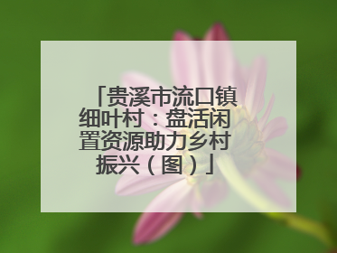 贵溪市流口镇细叶村：盘活闲置资源助力乡村振兴（图）