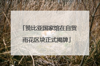 赞比亚国家馆在自贸雨花区块正式揭牌