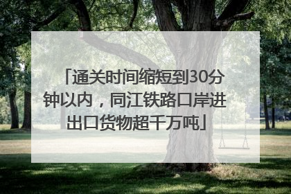 通关时间缩短到30分钟以内，同江铁路口岸进出口货物超千万吨