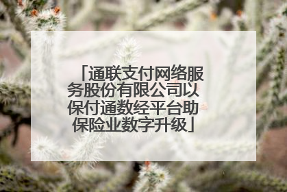 通联支付网络服务股份有限公司以保付通数经平台助保险业数字升级