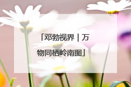 邓勃视界｜万物同栖岭南图