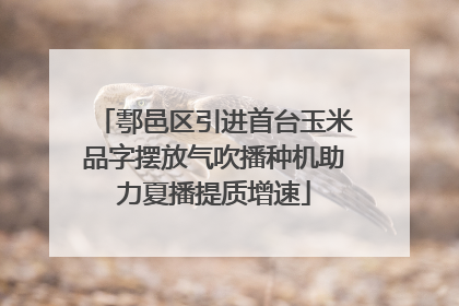 鄠邑区引进首台玉米品字摆放气吹播种机助力夏播提质增速
