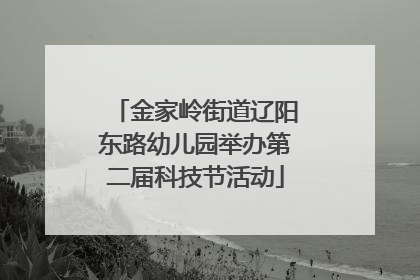 金家岭街道辽阳东路幼儿园举办第二届科技节活动