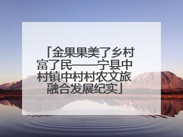 金果果美了乡村富了民——宁县中村镇中村村农文旅融合发展纪实