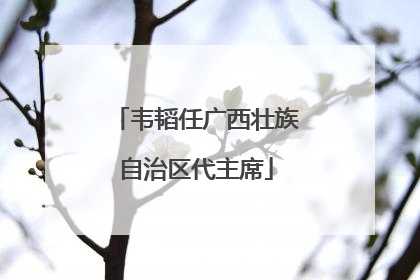韦韬任广西壮族自治区代主席