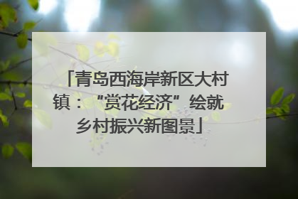 青岛西海岸新区大村镇：“赏花经济”绘就乡村振兴新图景