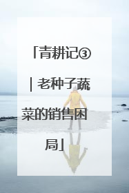 青耕记③|老种子蔬菜的销售困局