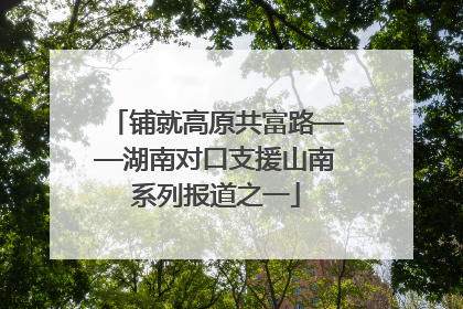 铺就高原共富路——湖南对口支援山南系列报道之一