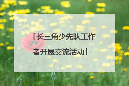 长三角少先队工作者开展交流活动