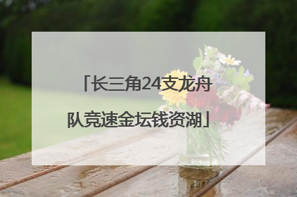 长三角24支龙舟队竞速金坛钱资湖