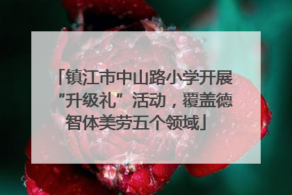 镇江市中山路小学开展“升级礼”活动，覆盖德智体美劳五个领域
