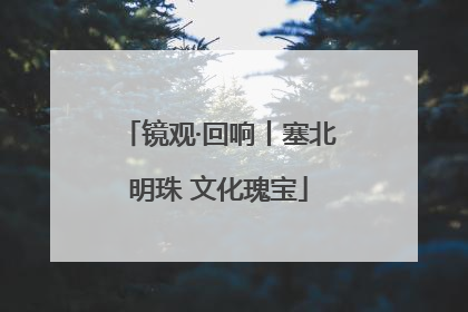 镜观·回响丨塞北明珠 文化瑰宝