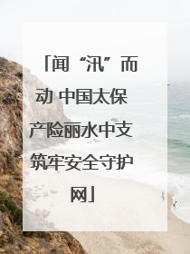 闻“汛”而动 中国太保产险丽水中支筑牢安全守护网