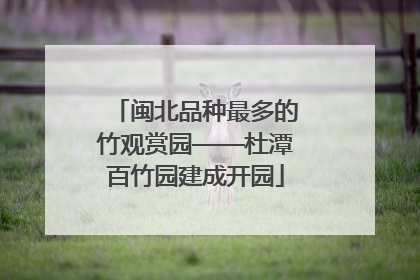 闽北品种最多的竹观赏园——杜潭百竹园建成开园
