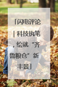 闪电评论｜科技执笔，绘就“齐鲁粮仓”新丰景