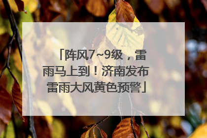 阵风7~9级，雷雨马上到！济南发布雷雨大风黄色预警