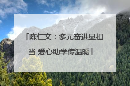 陈仁文：多元奋进显担当 爱心助学传温暖